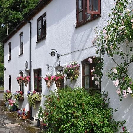 Shepherds Row Bed And Breakfast West Haddon Bagian luar foto